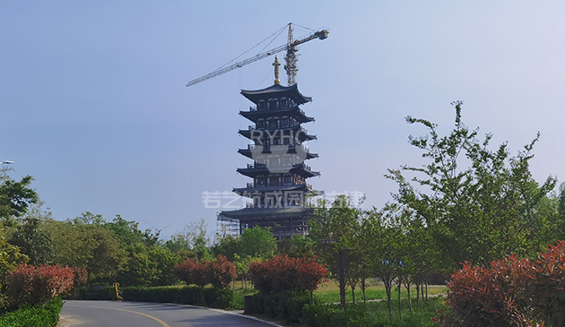 濮阳南乐德善阁工程